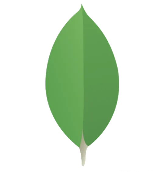 MongoDB